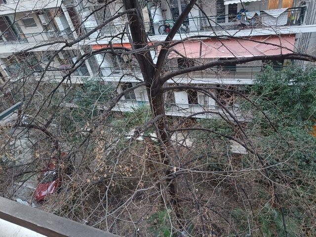 Φωτογραφία 3